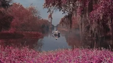 Blue Bayou