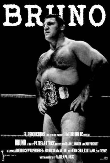Poster to the movie "Bruno Sammartino" #1144964