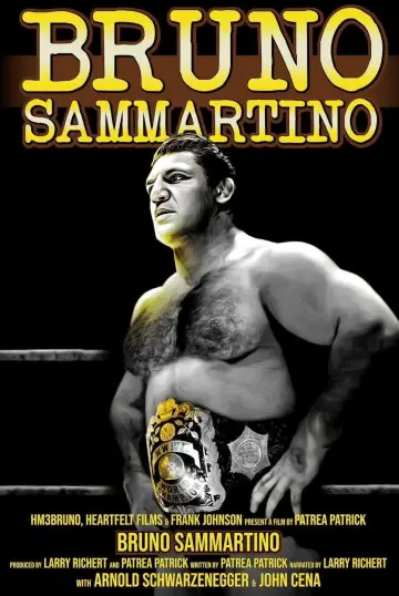 Poster to the movie "Bruno Sammartino" #1144965
