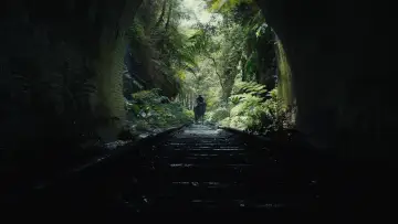 Backdrop to the movie "Kingdom of the Planet of the Apes" #315158