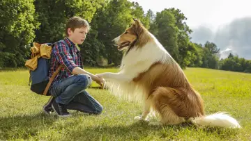 Backdrop to the movie "Lassie Come Home" #1022790
