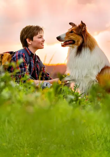 Poster to the movie "Lassie Come Home" #1022800