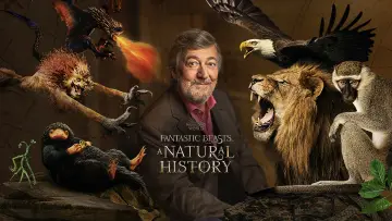 Backdrop to the movie "Fantastic Beasts: A Natural History" #1060583