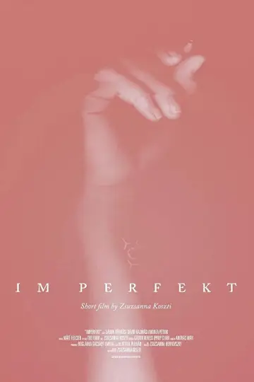 Poster to the movie "IM Perfekt" #1167359