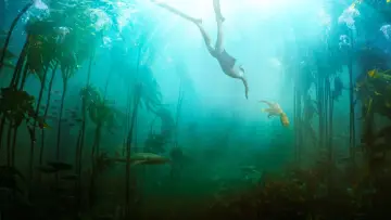 Backdrop to the movie "My Octopus Teacher" #382991