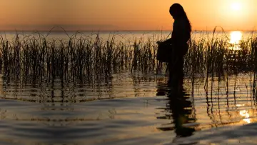 Where the Crawdads Sing
