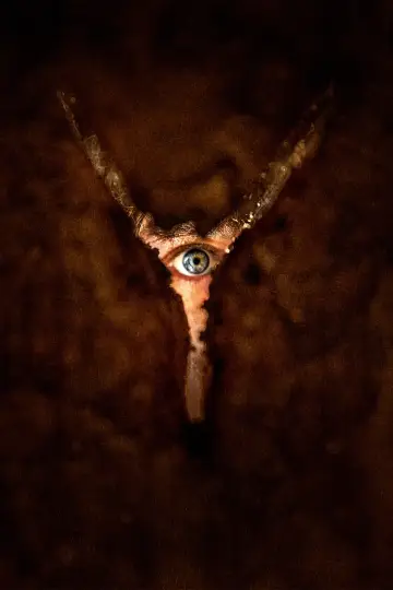 Poster to the movie "Return to Silent Hill" #508970