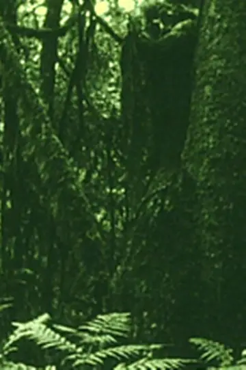 Poster to the movie "The Eyes in the Woods and the Taste in the Water" #1200167