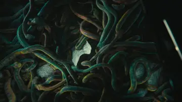 Backdrop to the movie "The Hunger Games: The Ballad of Songbirds & Snakes" #837908