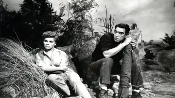 Backdrop to the movie "The River
