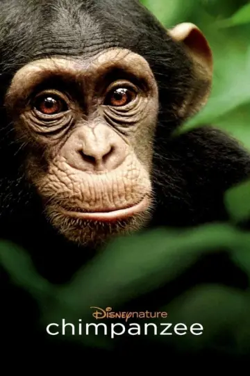 Poster to the movie "Chimpanzee" #1103504