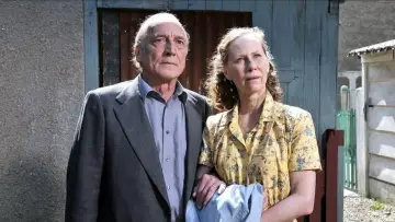Backdrop to the movie "Le Havre" #712909