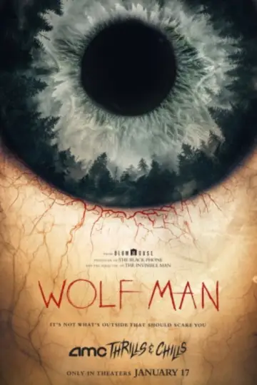 Poster to the movie "Wolf Man" #589344