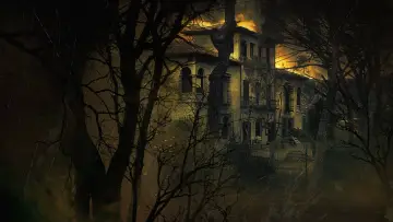 Backdrop to the movie "Don