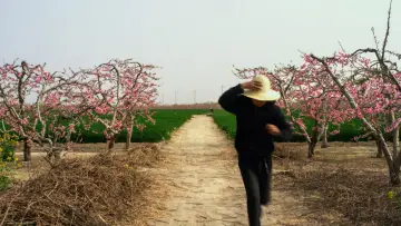 Backdrop to the movie "Slow Singing" #1527232