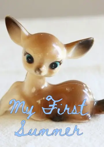 Poster to the movie "My First Summer" #1008478