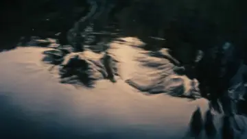 Backdrop to the movie "My First Summer" #1633476