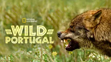 Backdrop to the movie "Wild Portugal" #1033253