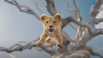 Backdrop to the movie "Mufasa: The Lion King" #467311