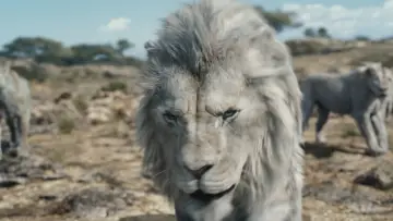 Backdrop to the movie "Mufasa: The Lion King" #557049