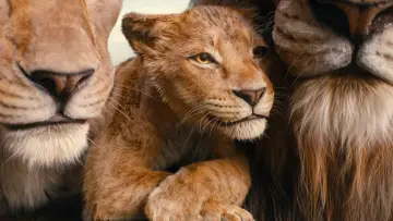 Backdrop to the movie "Mufasa: The Lion King" #557051
