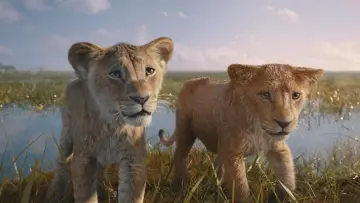 Backdrop to the movie "Mufasa: The Lion King" #557061