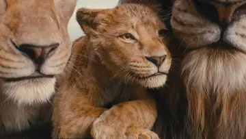 Backdrop to the movie "Mufasa: The Lion King" #557075