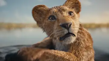 Backdrop to the movie "Mufasa: The Lion King" #557081