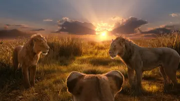 Backdrop to the movie "Mufasa: The Lion King" #557083