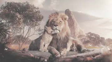 Backdrop to the movie "Mufasa: The Lion King" #926419