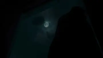 Backdrop to the movie "Nope" #637361