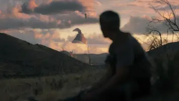 Backdrop to the movie "Nope" #637385