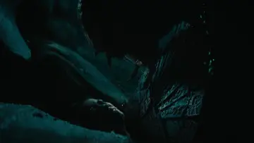 Backdrop to the movie "Prey" #626152