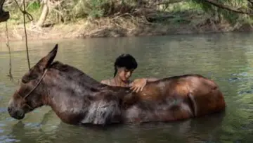 Backdrop to the movie "The Muleteer" #1115514