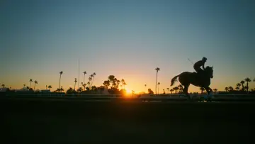 Backdrop to the movie "Jockey" #1854143