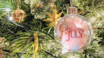 Backdrop to the movie "Christmas in July" #1848459
