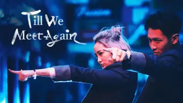 Till We Meet Again Poster