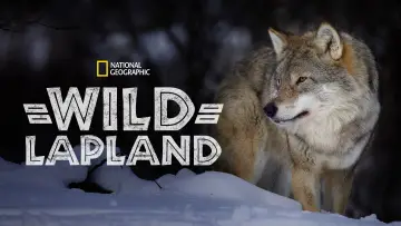 Backdrop to the movie "Wild Lapland" #1658245