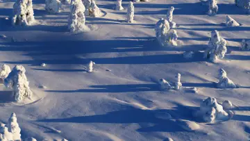 Backdrop to the movie "Wild Lapland" #1658249