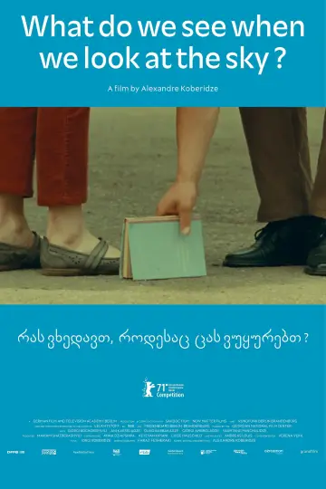 Poster to the movie "What Do We See When We Look at the Sky?" #1851734