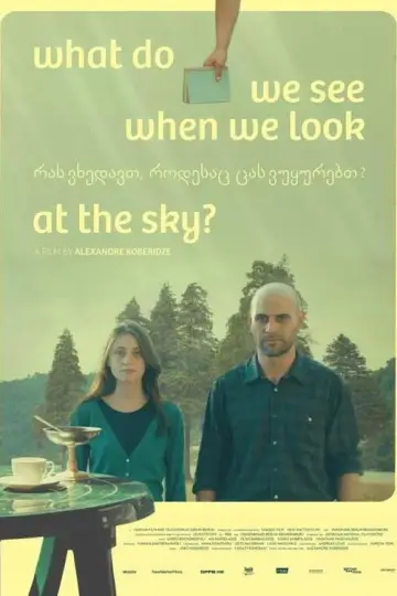 Poster to the movie "What Do We See When We Look at the Sky?" #1851737