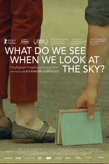 Poster to the movie "What Do We See When We Look at the Sky?" #1851739
