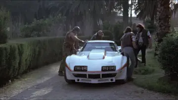 Backdrop to the movie "Mad Foxes" #966450
