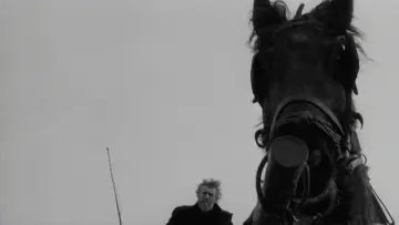Backdrop to the movie "The Turin Horse" #1632940