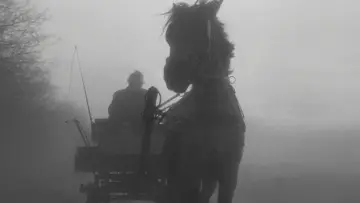 Backdrop to the movie "The Turin Horse" #1632941