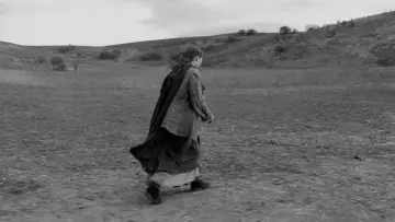 Backdrop to the movie "The Turin Horse" #1632942