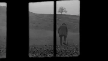 Backdrop to the movie "The Turin Horse" #1632944