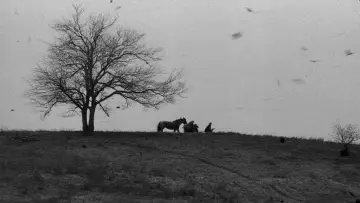 Backdrop to the movie "The Turin Horse" #985215