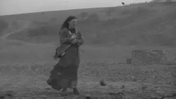 Backdrop to the movie "The Turin Horse" #985216