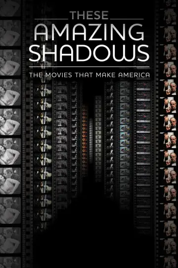 Poster to the movie "These Amazing Shadows" #1150216